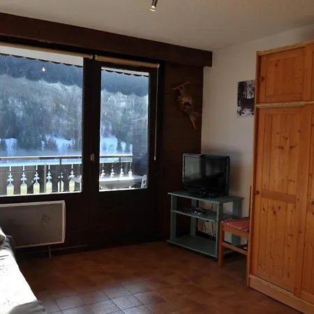 Chardon Bleu 22 Appartement Abondance